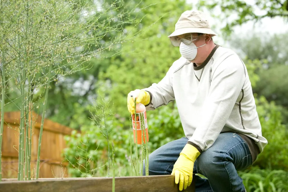 Pest Control pros